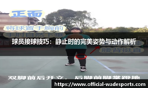 韦德体育